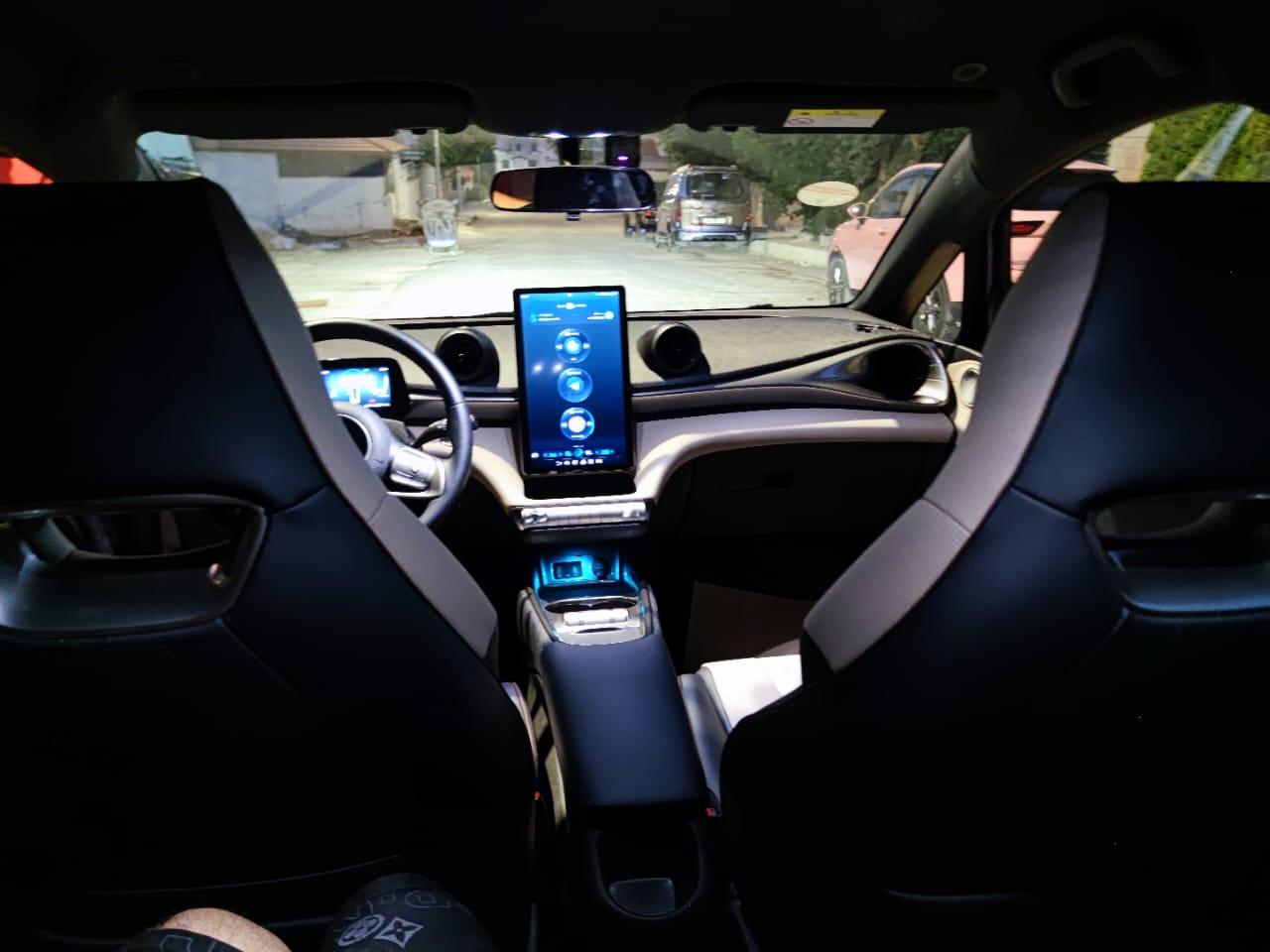 BYD Dolphin front view